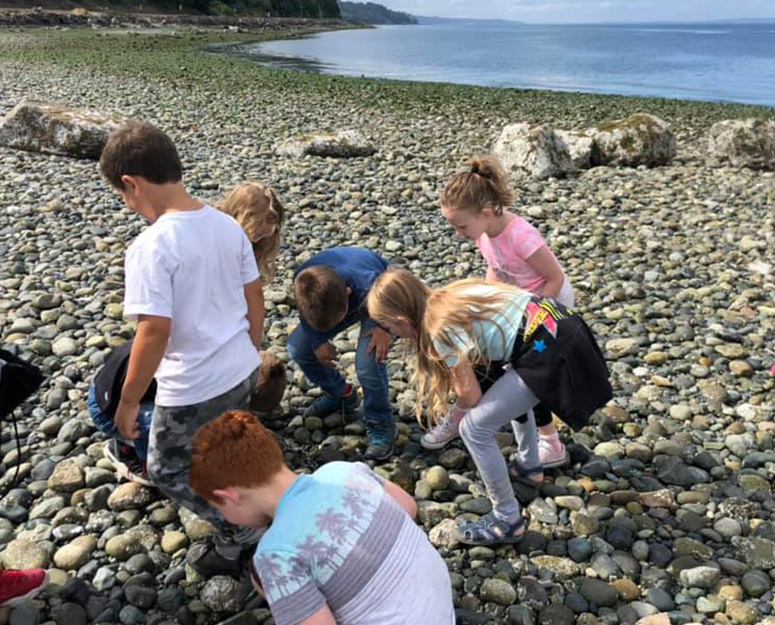 SEverett_camp S Everett kids looking for shells on a rocky beach