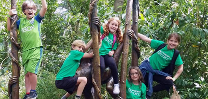 boys and girls climbing trees and smiling
