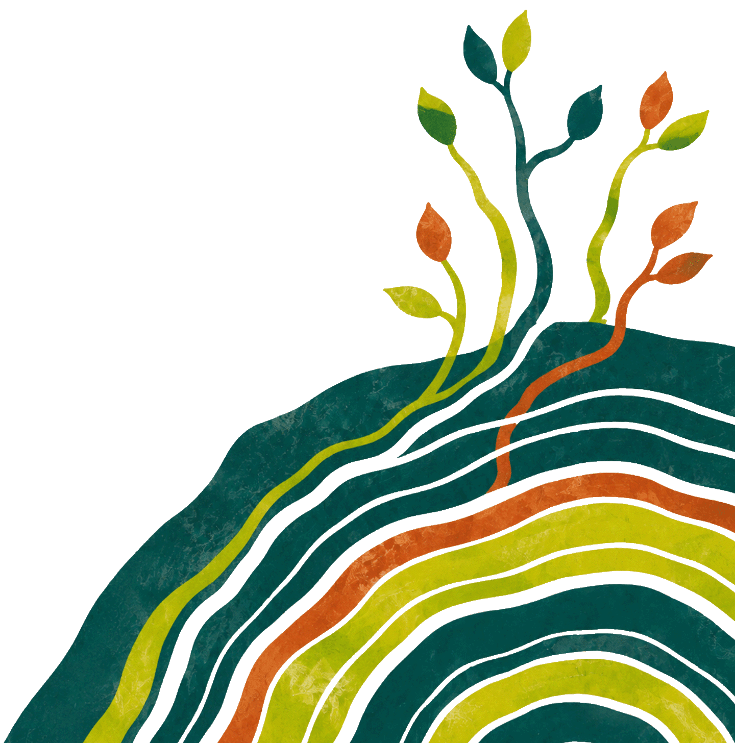multicolored tree rings with leaves sprouting